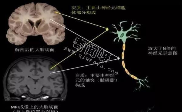 人类并非起源宇宙又添一关键证据