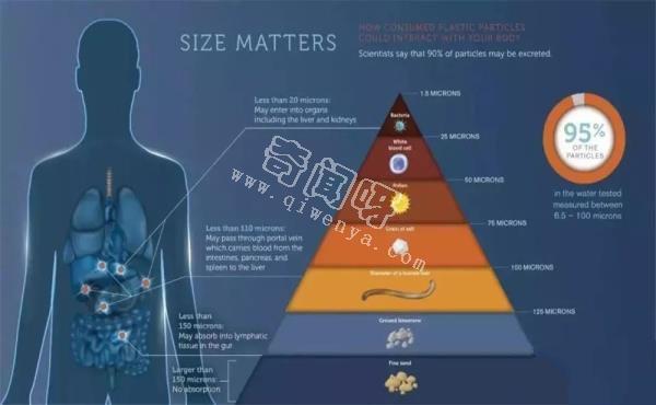 科学家首次在人体中发现塑料微物，人类是该好好反省了