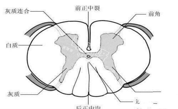 人类并非起源宇宙又添一关键证据