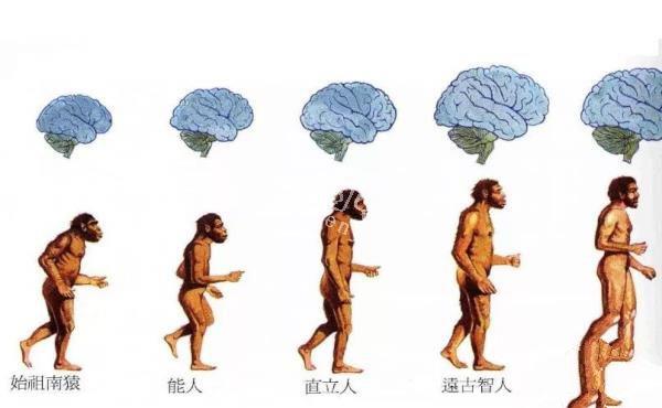 人类为什么要穿衣服？这个问题很另类、很新奇，但很有必要！