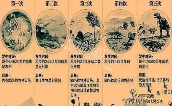 地球经历过的物种大灭绝，很多物种消失，专家：仅仅2％物种存活