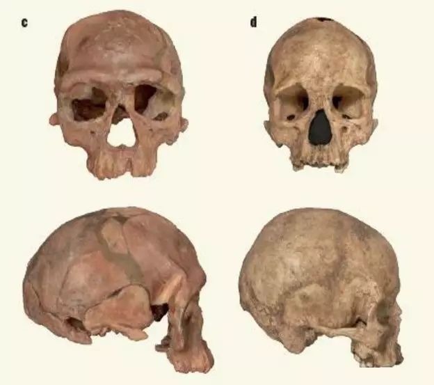 科学家发现最古老的人类化石，能改写历史