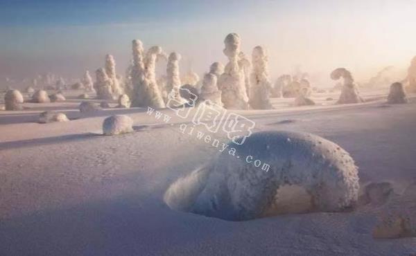 假如地球没有了太阳，人类应该怎么办呢