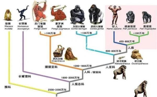 太空科普——把13800000000年压缩成24小时，会是什么感觉？