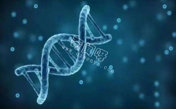 人类是被设计出来的产物？科学家研究DNA，竟然发现了“造物者”