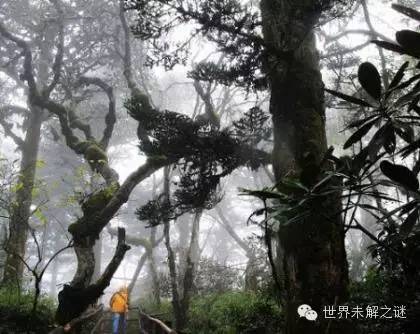 中国百慕大四川“黑竹沟”