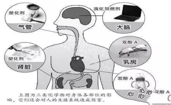 注意家庭灰尘中的有害化学物质