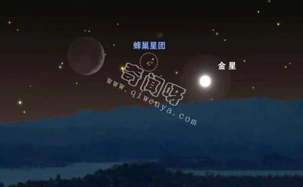 金星表面有“生物”在独立移动