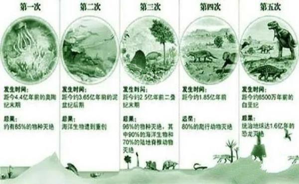 地球走过五次生物灭绝，如今永久冻土正在苏醒，对人类什么影响？