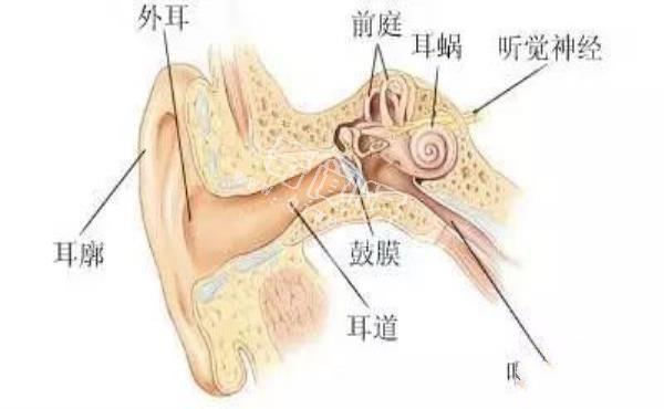 揭秘：人类真的可以在太空听到声音？