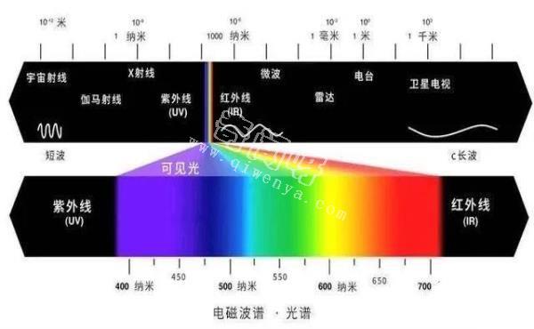 为什么科学家说“粉红色”根本不存在？