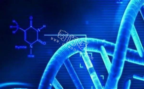 人类是被设计出来的产物？科学家研究DNA，竟然发现了“造物者”