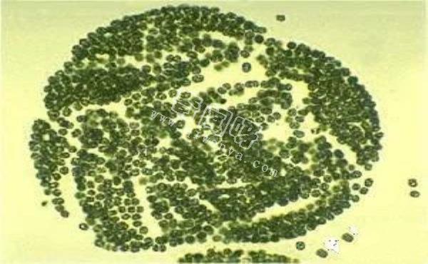 科学家源源不断地输送卫星，这个星球究竟有什么魔力？