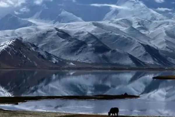 主动归还中国领土，结果发现了宝藏，中国的做法赢得各国尊重