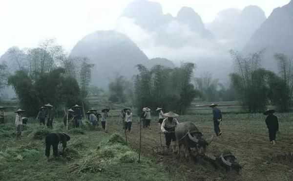 80年代中国农村：只有农村出来人才真正能看懂，图4你肯定也做过